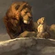 Lion King 
