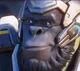Winston Overwatch