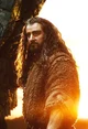 THORIN OAKENSHIELD