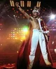 Freddie mercury 