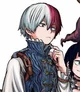 Shoto todoroki 