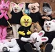 Stray  kids 