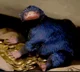Niffler
