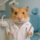 Hamster Dentist