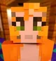 Stampy Cat