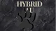 02 - HYBRID AU