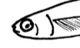 Minnow