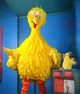 Big bird