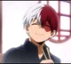 Todoroki Shoto