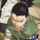 SHIKAMARU NARA