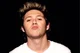 Niall Horan - 2013