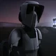 scout trooper 