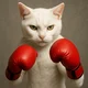 Meow