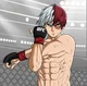 UFC - Todoroki