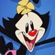 Dot Warner