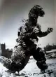 Godzilla 1955