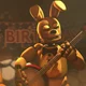 Spring Bonnie
