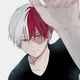 Todoroki Shoto