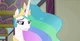 Princess Celestia 