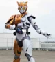 Kamen Rider Valkyrie