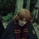 HP - Ron B Weasley