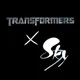 Transformers X Sky