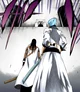 BL-Aizen Tosen Grimm