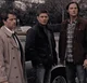 Team Free Will