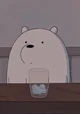 Ice bear