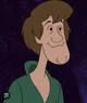 Shaggy 