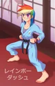Karate Rainbow Dash