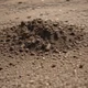 Literally Just Dirt