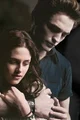 Edward Cullen