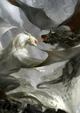 DRAGON ENEMIES