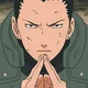 Shikamaru Nara