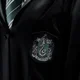 HP - Slytherin Boys
