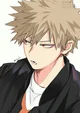 Katsuki Bakugou 