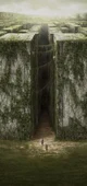 The Maze runner 