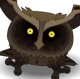 The Owl