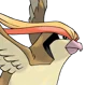 Pidgeot