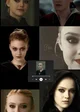 The Volturi RP