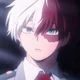 Shoto Todoroki 