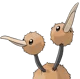 Doduo