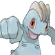 Machop