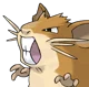 Raticate
