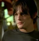 008 Daryl Dixon