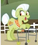 Granny Smith