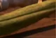 TKani Prime Vine