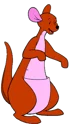 Kanga