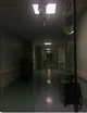 MHA Insane Asylum
